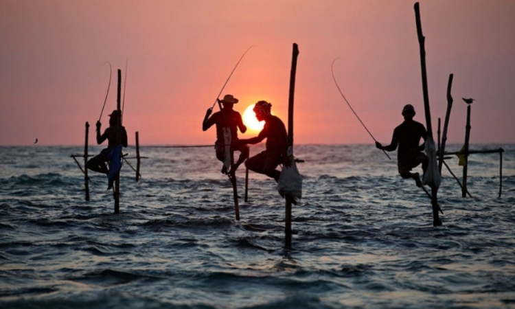 ගෝඨා ගොවීන්ට කළ දේ මාලිමා ආණ්ඩුවෙන් ධීවරයන්ට?